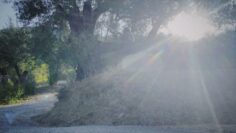 Eleni Drake – Always Blue (Lyric Video)