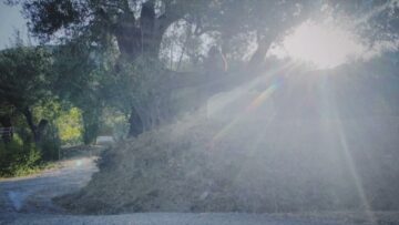 Eleni Drake – Always Blue (Lyric Video)