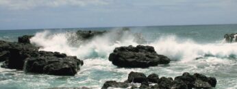 Eleni Drake – Strawberry Moon