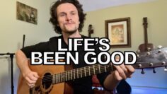 Joe Walsh – Lifes Been Good (acoustic cover)