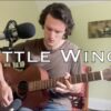 Little Wing – Jimi Hendrix (acoustic cover)