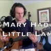 SRV – Mary Had a Little Lamb (acoustic cover)