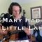 SRV – Mary Had a Little Lamb (acoustic cover)
