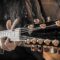 “CRAWLIN’ KING SNAKE” • Rattlesnake Tail and 9-String Guitar