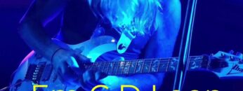 Em C D Loop Backing Track #backingtracks