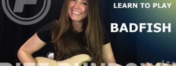Learn to play Badfish by Sublime