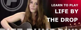 Learn to play Life by the Drop by Stevie Ray Vaughan