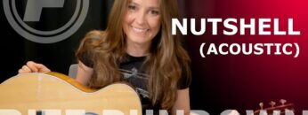 Learn To Play Nutshell (Acoustic) by Alice In Chains