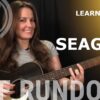 Learn To Play Seagull by Bad Company