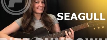 Learn To Play Seagull by Bad Company