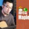 MapleStory – Login interface BGM Mapleisland Acoustic Guitar