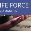 NES Game – Life Force Salamander – Stage 1 – Acoustic Guitar