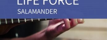 NES Game – Life Force Salamander – Stage 1 – Acoustic Guitar