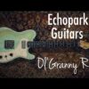 Echopark Guitars Clarence OlGranny Rose || Demo By Rhett Shull