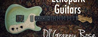 Echopark Guitars Clarence OlGranny Rose || Demo By Rhett Shull