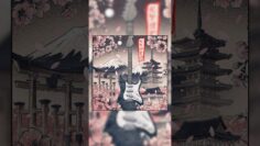 Kyoto | This Friday 25/10 #kyoto #newsingle