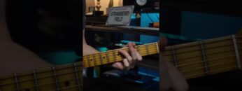 Lick of the Week #11