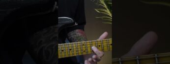 Lick of the Week #34