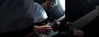 LICK OF THE WEEK