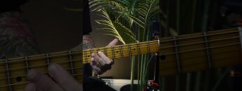 Lick of the Week #35