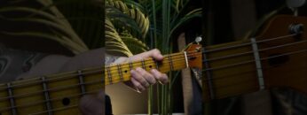 Lick of the Week #36