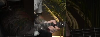 Lick of the Week #37