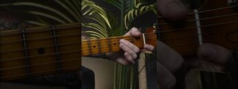 Lick of the Week #38