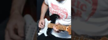 Lick of the Week #76