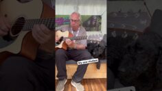 Meet my new student 🎸🐕‍🦺@FurchGuitarsOfficial #42gssix #furchguitars #acoustic #acousticguitar